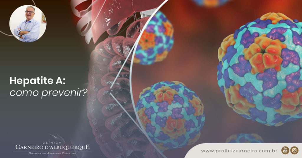 A imagem mostra uma representação gráfica do vírus da Hepatite A no corpo humano