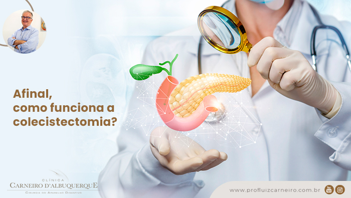 A imagem mostra um médico, com uma lupa na mão esquerda apontando para uma ilustração da vesícula e a mão direita forma uma concha com a palma para cima, embaixo da vesícula