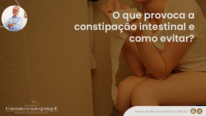 A imagem mostra uma pessoa usando a privada.