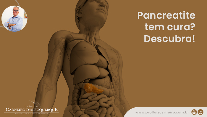 A imagem mostra uma representação do corpo humano em forma de boneco digital e o pâncreas está em evidência.