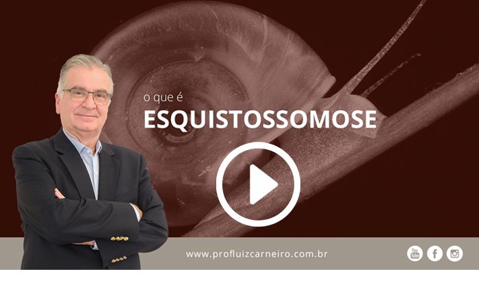 Esquistossomose - Por Prof. Dr. Luiz Carneiro - USP - Hospital das Clínicas Divisão de Transplante de Fígado
