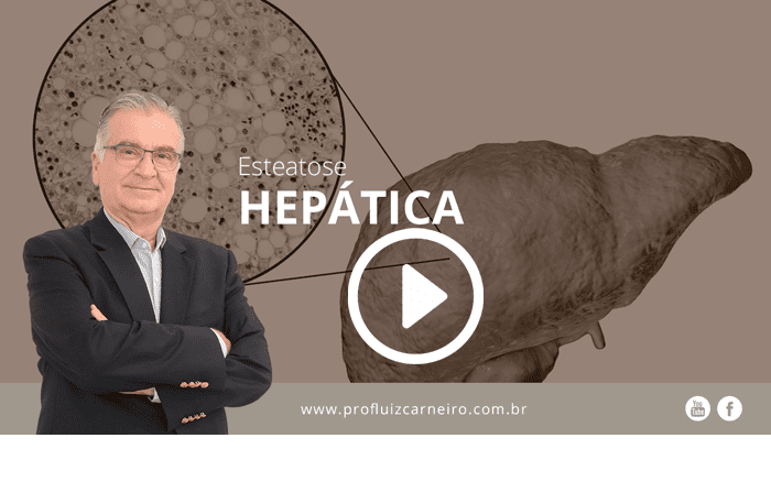 Esteatose hepática - Por Prof. Dr. Luiz Carneiro