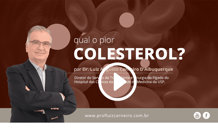 Colesterol - Por Prof. Dr. Luiz Carneiro