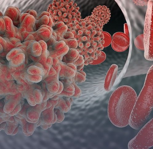 A imagem mostra uma ilustração do vírus da Hepatite B na circulação sanguínea.