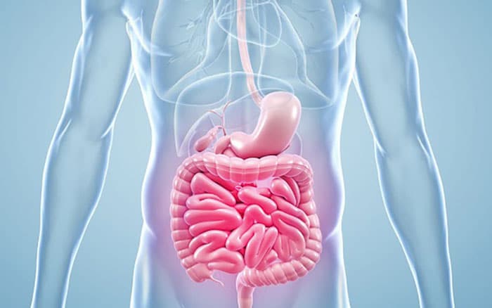 Ao fundo da imagem, há a representação de um tumor no estômago.