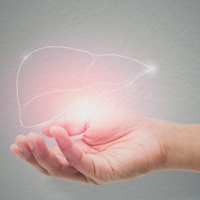 A imagem mostra uma mão aberta com uma forma similar a de um fígado humano em cima.