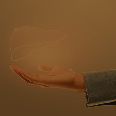 A imagem mostra uma montagem de uma mão e um fígado translúcido.