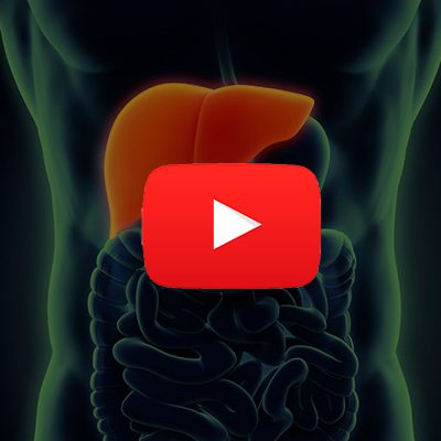 A imagem mostra uma ilustração do corpo humano e o fígado está em destaque.