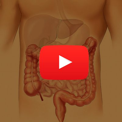 A imagem mostra a representação gráfica de um intestino humano.