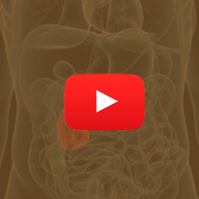 A imagem mostra uma ilustração do aparelho digestivo com o pâncreas em destaque.