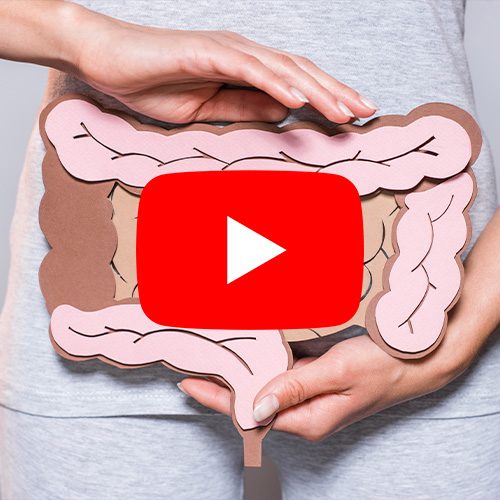 A imagem mostra uma pessoa segurando uma ilustração de um intestino