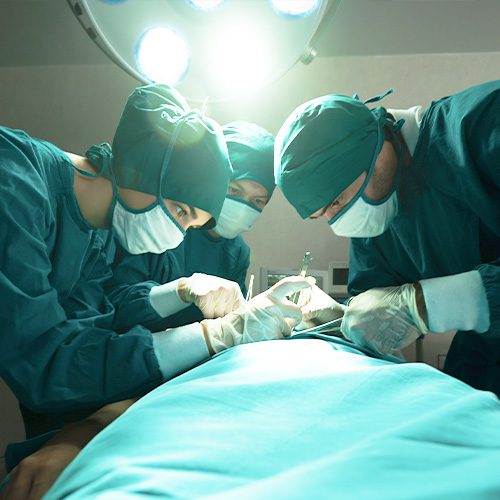 A imagem mostra a ilustração de médicos em um ambiente cirúrgico realizando um transplante de fígado.