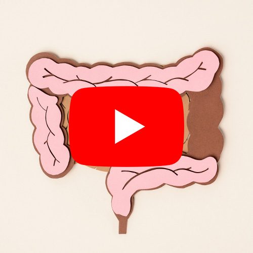A imagem ilustra um intestino humano em cores rosa claro e marrom