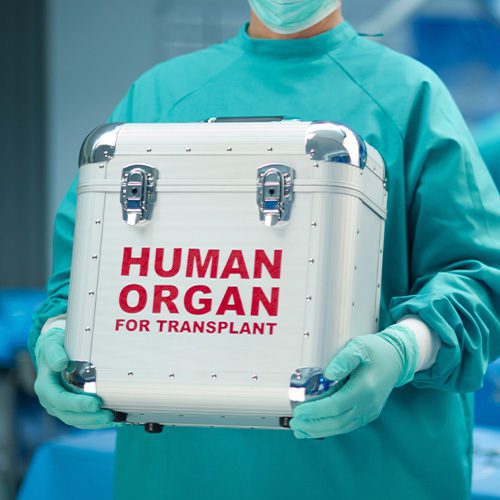 A imagem mostra um médico segurando uma caixa de transplante de órgãos