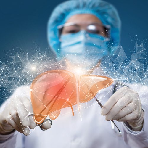 A imagem mostra uma médica usando objetos de cirurgia em uma ilustração de um fígado