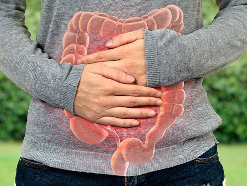 a imagem ilustra uma pessoa com a mão na barriga e a ilustração de um intestino