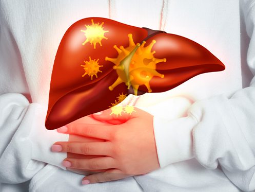 a imagem ilustra uma pessoa com as duas mãos na barriga e com a ilustração de um fígado com algumas bactérias na frente