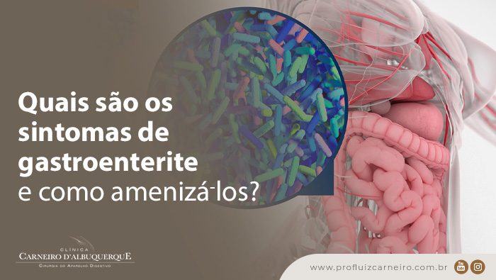 quais sao os sintomas de gastroenterite e como ameniza los blog Prof Dr. Luiz Carneiro