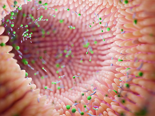 a imagem ilustra a vista aproximada de uma estrutura semelhante a uma anêmona rosa com minúsculas partículas verdes distribuídas por toda parte, criando um efeito de túnel