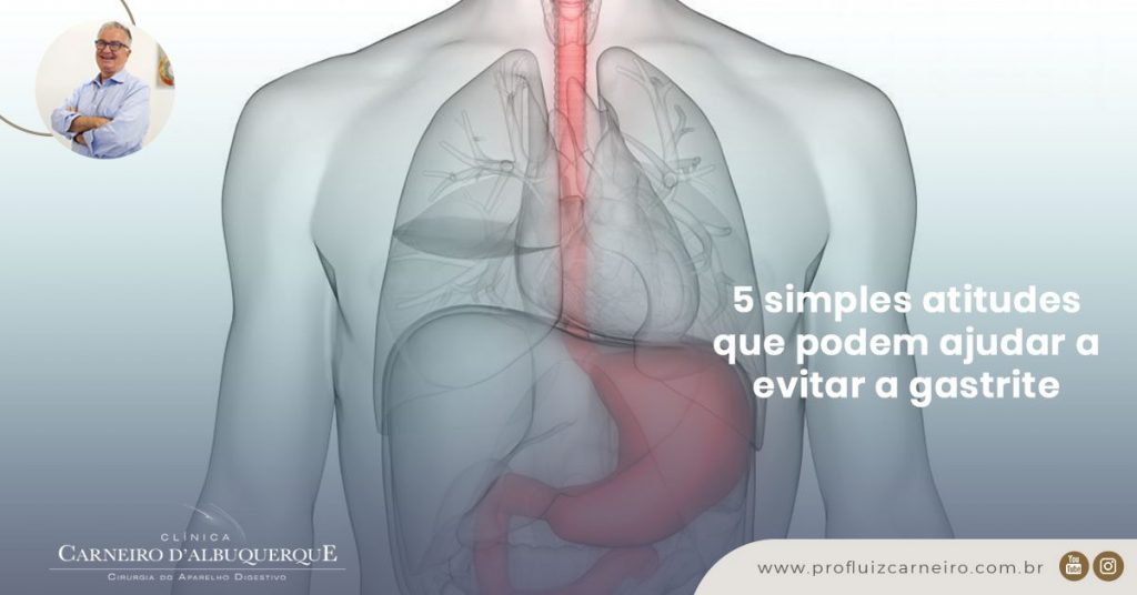 A imagem mostra uma representação gráfica do sistema digestivo do corpo humano.