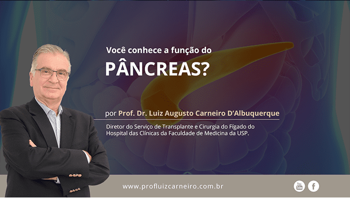 Função do Pâncreas – Por Prof. Dr. Luiz Carneiro