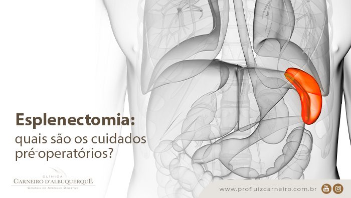 esplenectomia quais sao os cuidados pre operatoriosnbsp blog