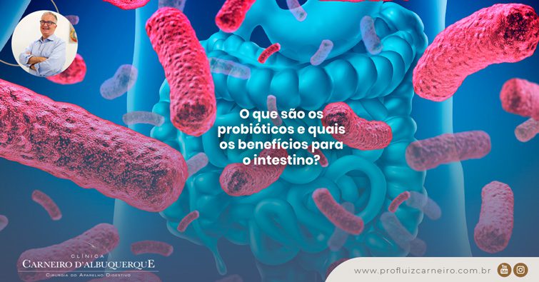 Ao fundo da imagem há uma ilustração de bactérias no intestino.