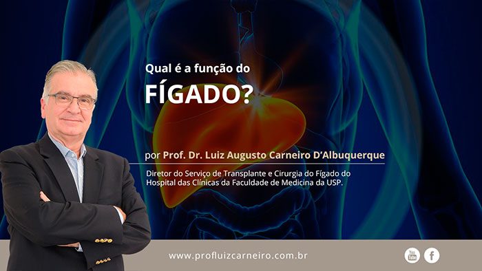 Qual é a função do Fígado? Prof Dr Luiz Augusto Carneiro D'Albuquerque