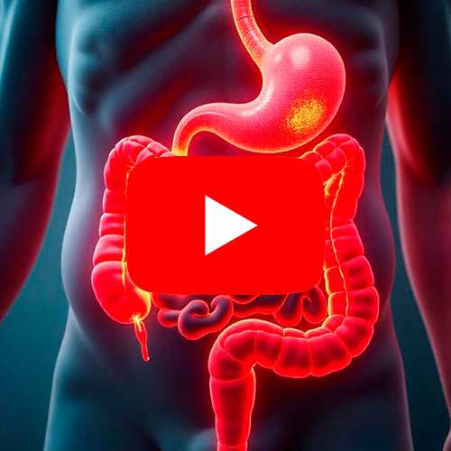 Ilustração do sistema digestivo humano destacando o estômago e intestinos, com ícone de reprodução de vídeo no centro.