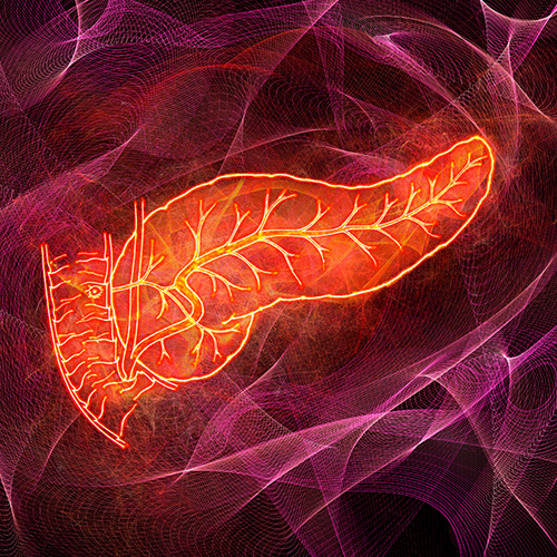 Ilustração de um pâncreas em tons vibrantes de laranja e vermelho, destacando suas ramificações internas, simbolizando doenças pancreáticas e tratamentos relacionados.