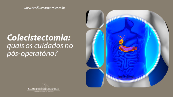 Ilustração médica destacando a vesícula biliar e o pâncreas no abdômen de uma figura humana.