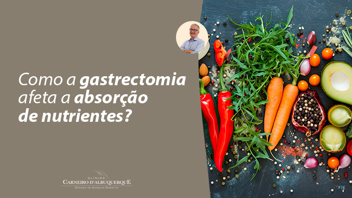 Variedade de alimentos frescos sobre superfície escura, incluindo cenouras, abacate, pimentões, tomates, alho, folhas verdes e especiarias.