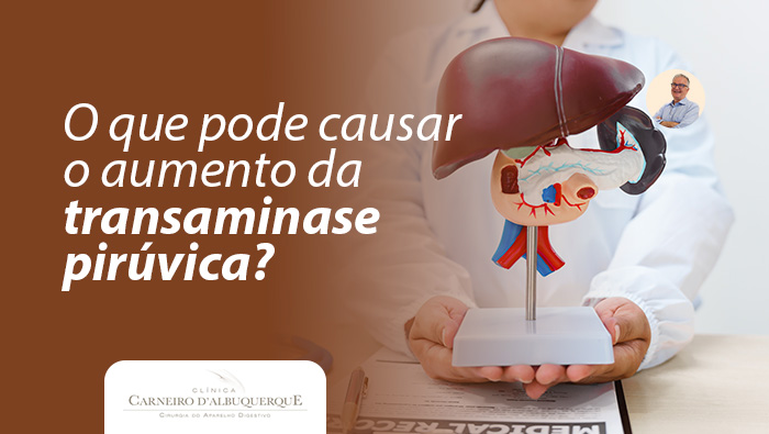 O Que Pode Causar Aumento Da Transaminase Pirúvica? - Prof Dr. Luiz ...