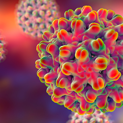 Imagem de vírus em 3D com superfície irregular e colorida, representando a hepatite B.
