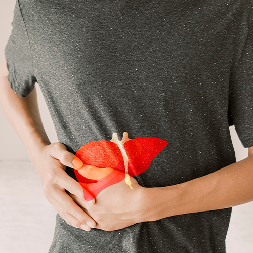 Pessoa segura a região abdominal com ilustração de fígado sobreposta, indicando dor ou problema hepático.