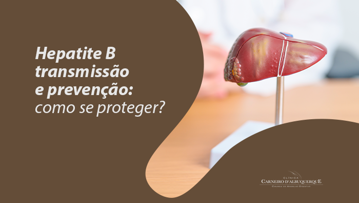 Modelo anatômico de fígado em destaque sobre mesa, com médico desfocado ao fundo em ambiente clínico.
