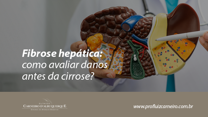 Arte sobre fibrose hepática e danos antes da cirrose