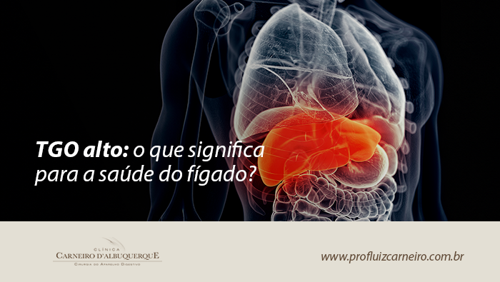 Arte sobre TGO alto e saúde do fígado